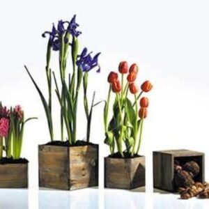 Barn Wood Box Vases