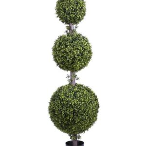 Boxwood Topiary Tree
