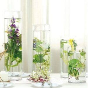 Clear Glass Cylinders  6"